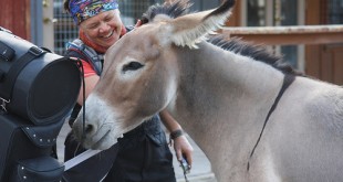 Tamela with Oatman jenny burro