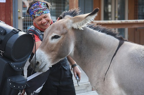 Tamela with Oatman jenny burro
