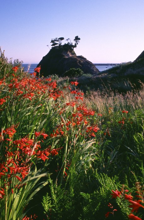 Dave's picture of Battle Rock