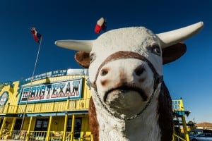 Picture of The Big Texan