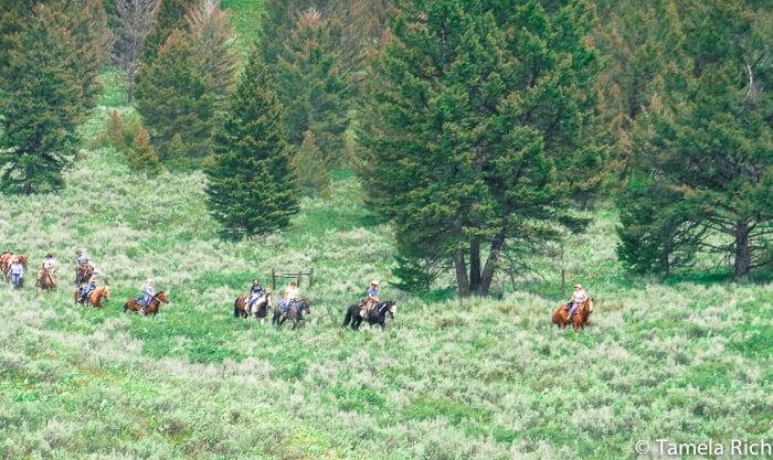 Horseback riding in Yellowstone National Park