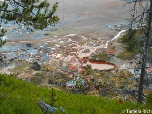 Lots of minerals in the hot springs at Yellowstone