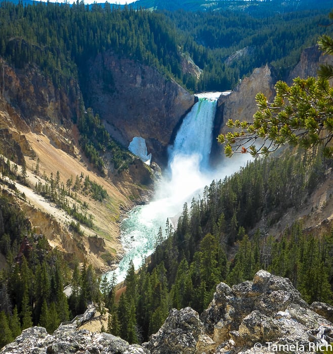 The Yellowstone River formed Yellowstone's Grand Canyon