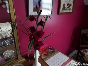 Gladiolas on my dresser