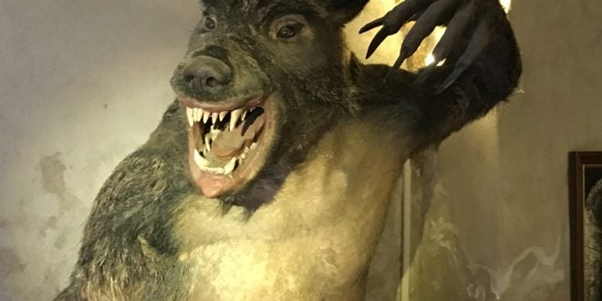 werewolf at the torture museum