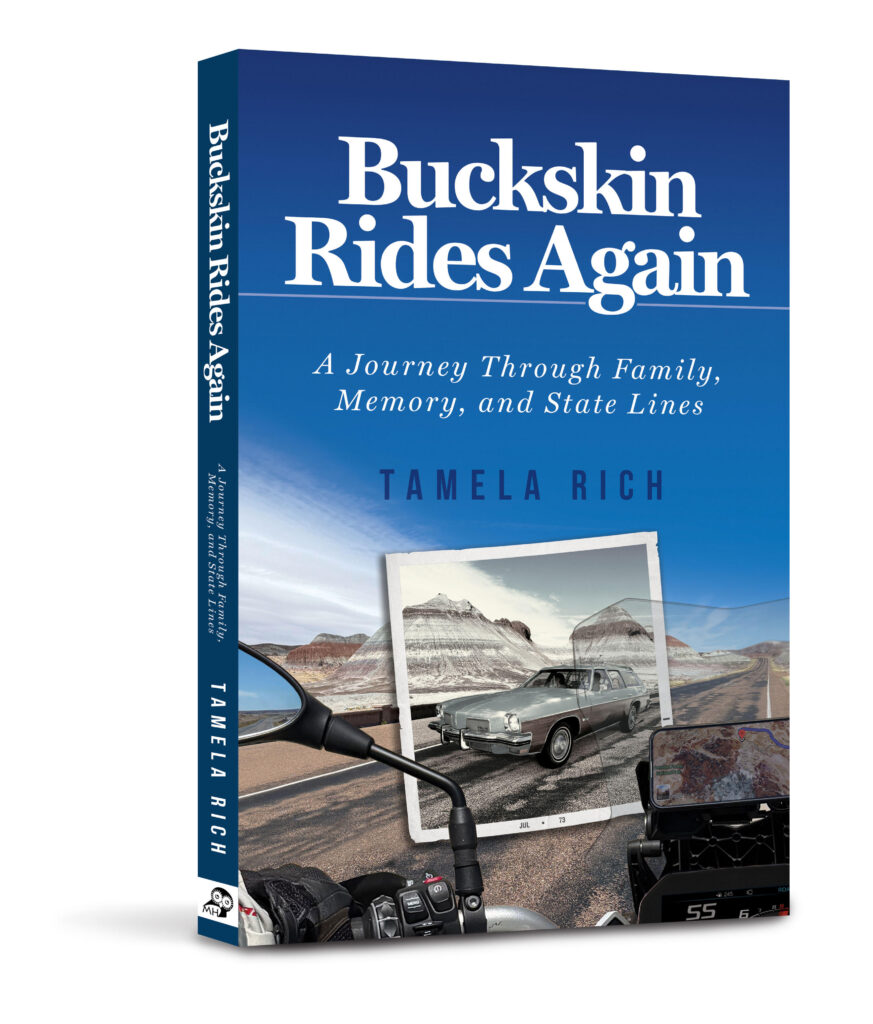 3-D book cover of Buckskin Rides Again
